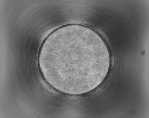 X0000112381020200909241209