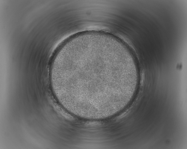 X0000112381021200909241209