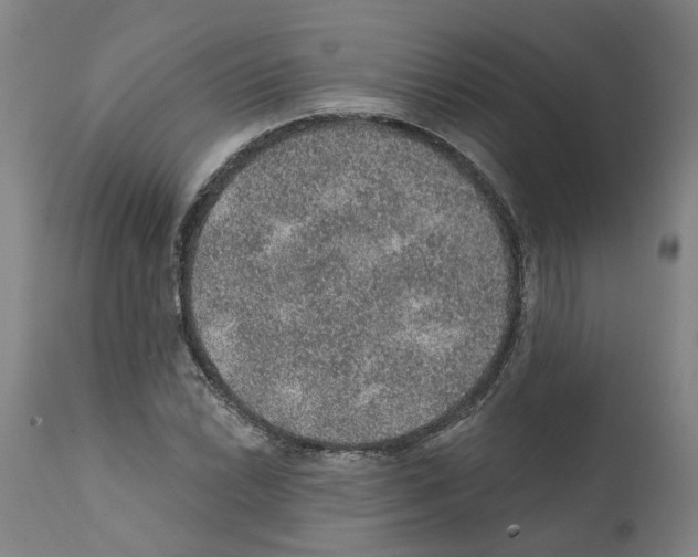 X0000112381022200909241209