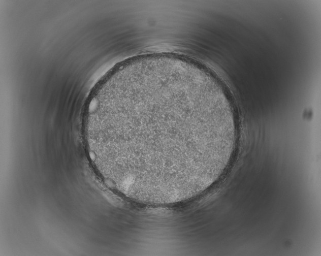 X0000112381023200909241209