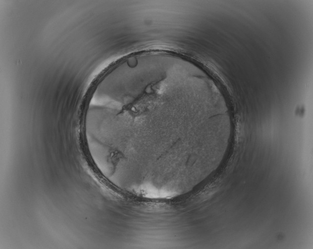 X0000112381024200909241209