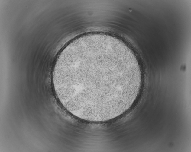 X0000112381025200909241209