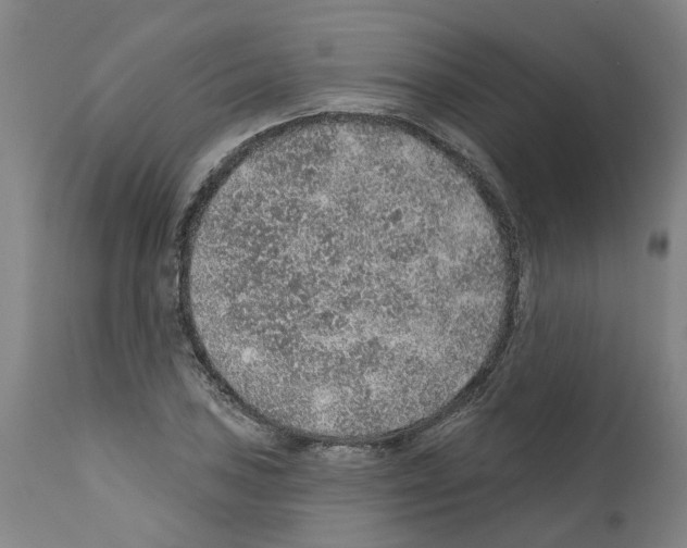 X0000112381027200909241209