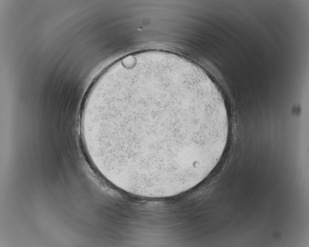 X0000112381028200909241209