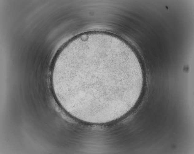 X0000112381029200909241209