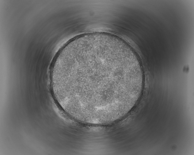 X0000112381031200909241209