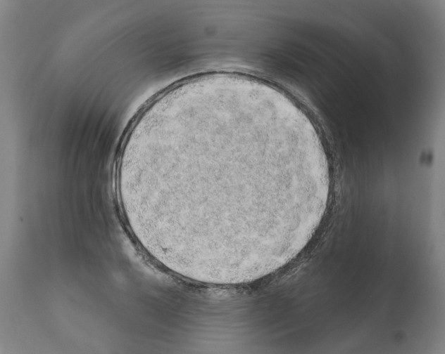 X0000112381032200909241209