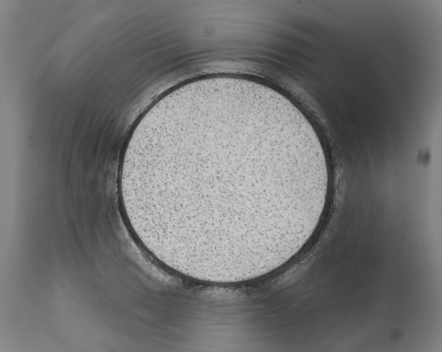 X0000112381033200909241209