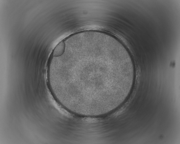 X0000112381034200909241209