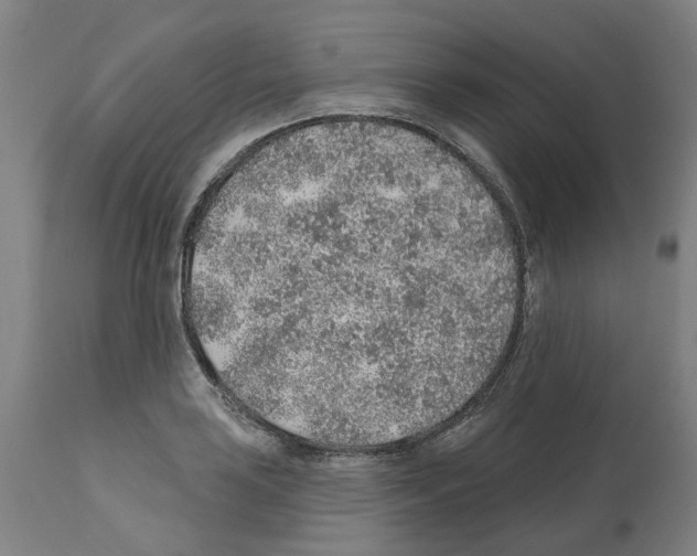 X0000112381035200909241209