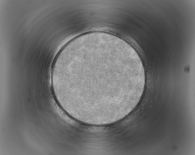 X0000112381036200909241209