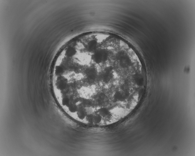 X0000112381037200909241209