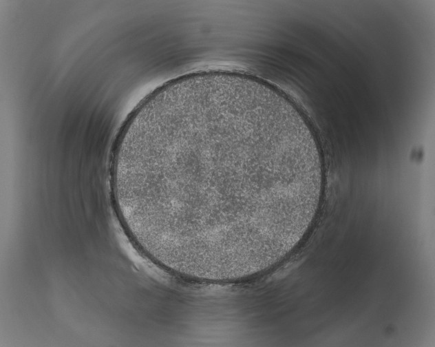 X0000112381038200909241209