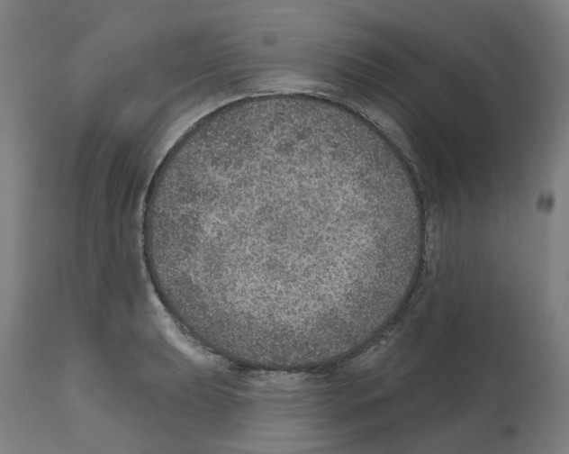 X0000112381039200909241209