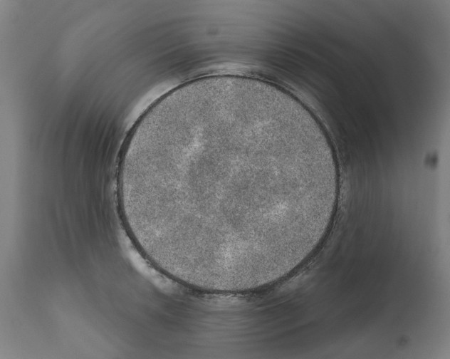 X0000112381042200909241209