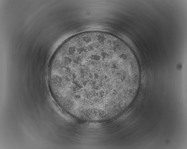 X0000112381043200909241209