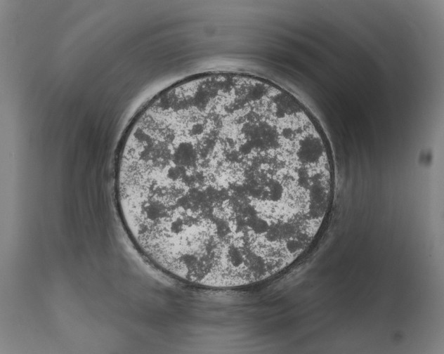 X0000112381045200909241209