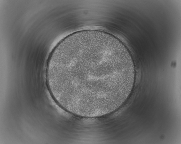 X0000112381046200909241209