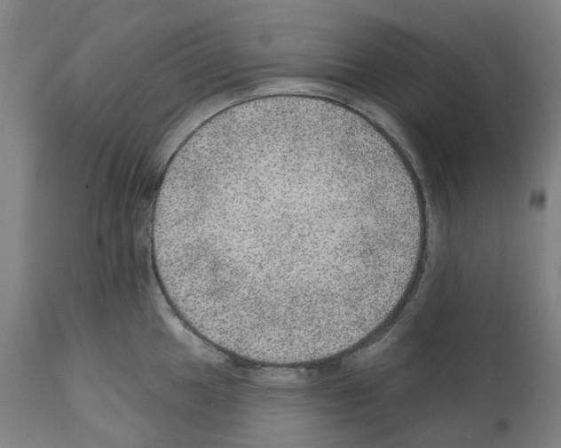 X0000112381049200909241209