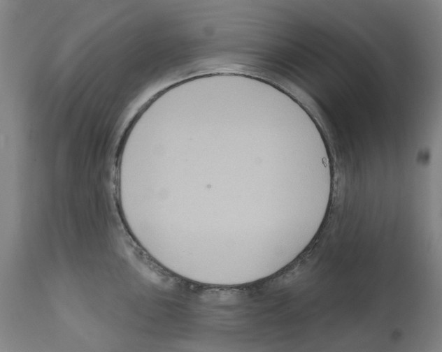 X0000112381051200909241210