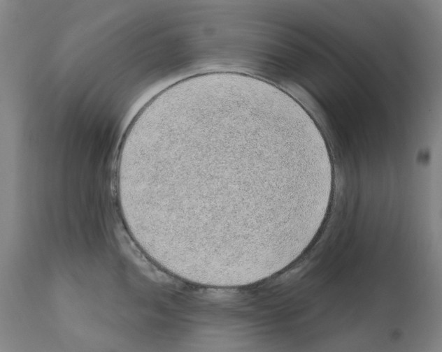 X0000112381052200909241210