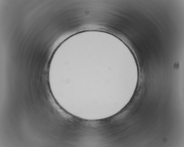 X0000112381053200909241210