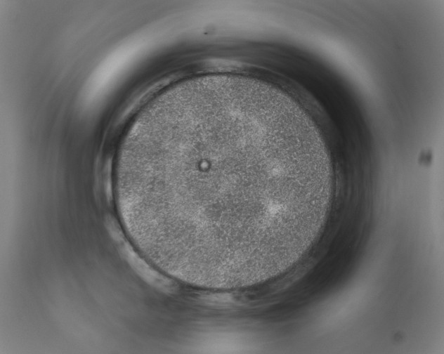 X0000112381054200909241210