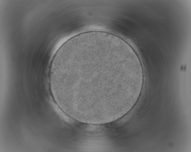 X0000112381056200909241210