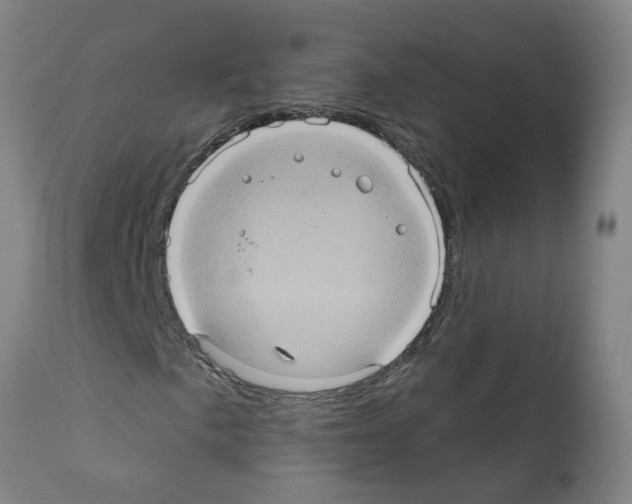 X0000112381057200909241209