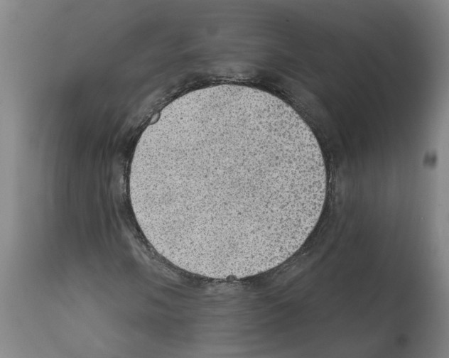 X0000112381058200909241209