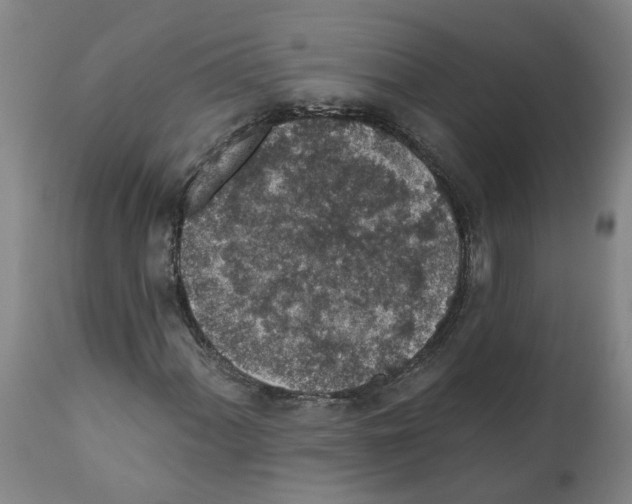 X0000112381060200909241209