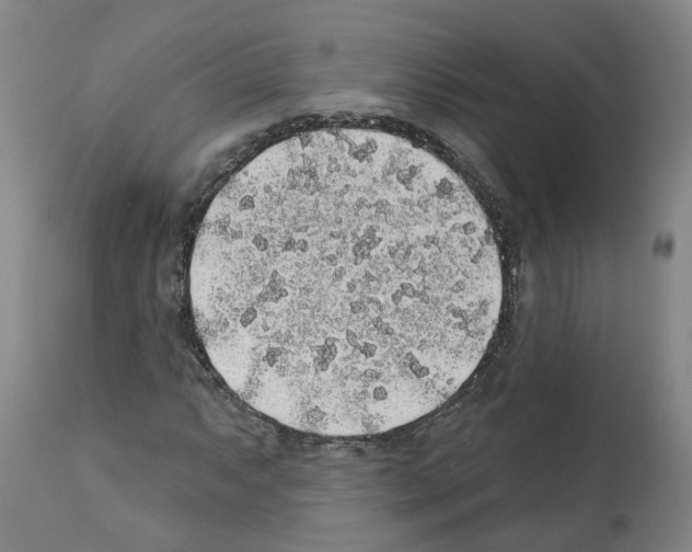 X0000112381063200909241209