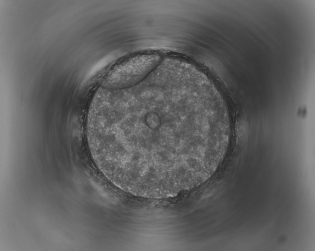 X0000112381064200909241209