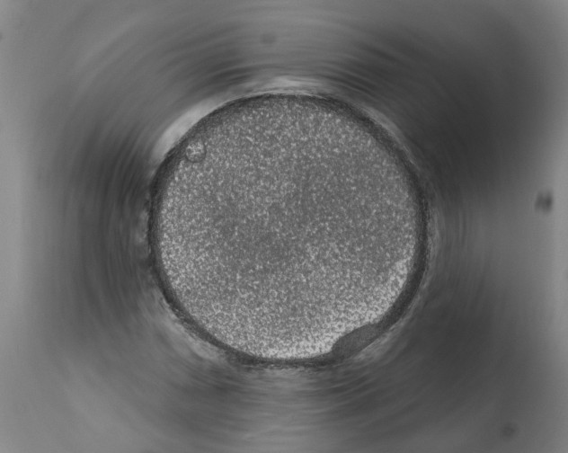 X0000112381066200909241209