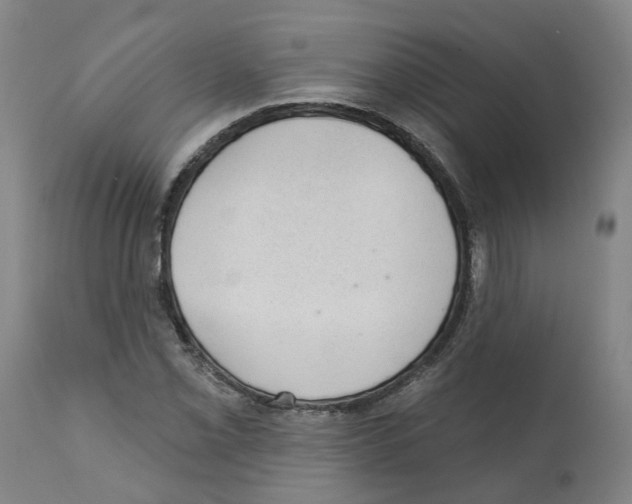 X0000112381069200909241209