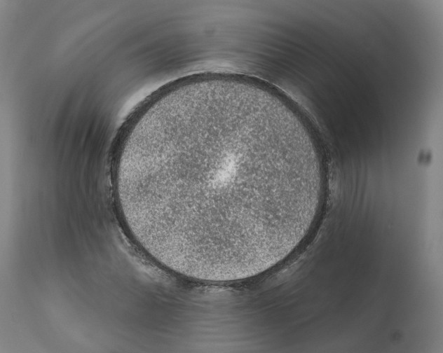 X0000112381070200909241209