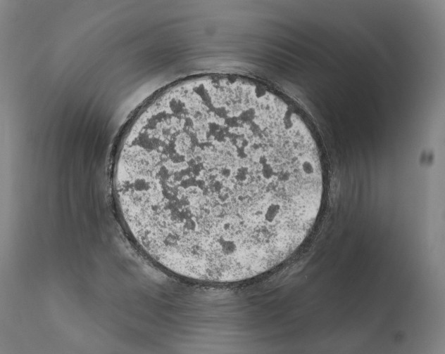 X0000112381071200909241209