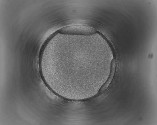 X0000112381072200909241209