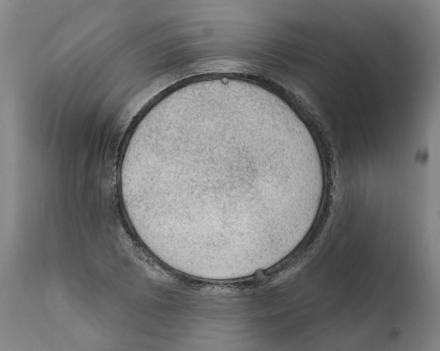 X0000112381073200909241209