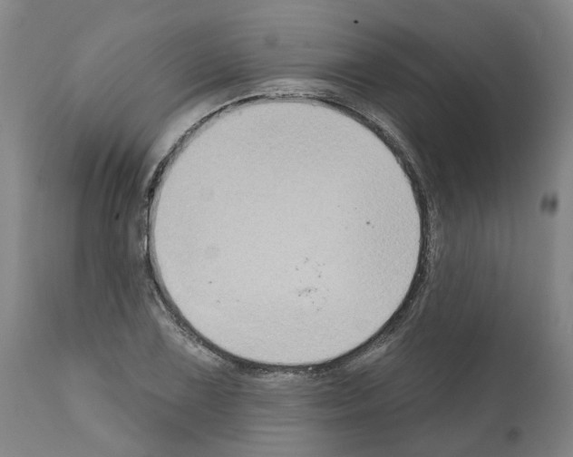 X0000112381075200909241209