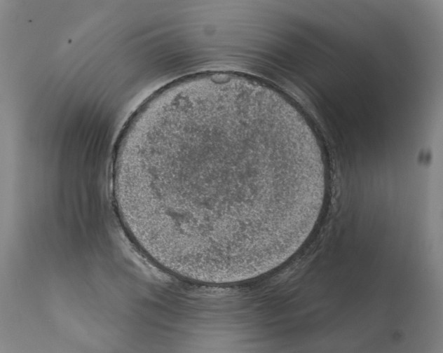 X0000112381076200909241209