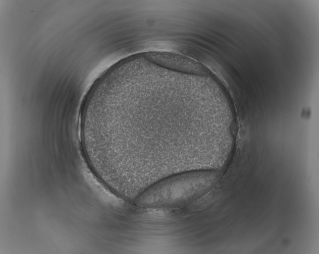 X0000112381080200909241209