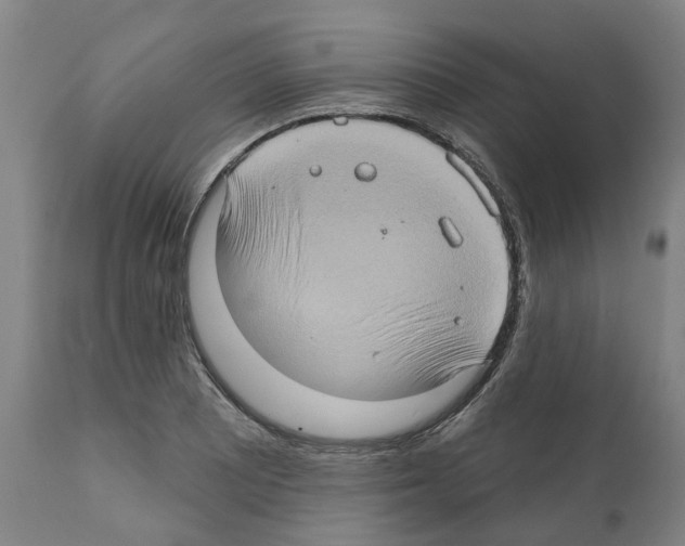 X0000112381081200909241209