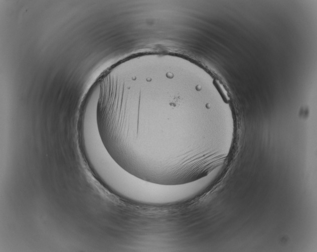 X0000112381085200909241209