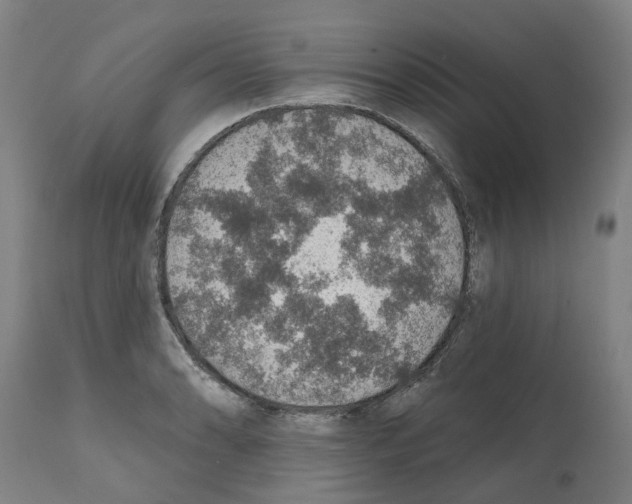 X0000112381086200909241209