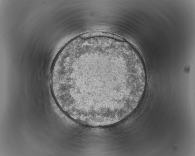 X0000112381088200909241208