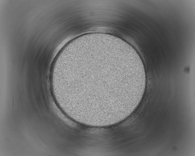 X0000112381091200909241208