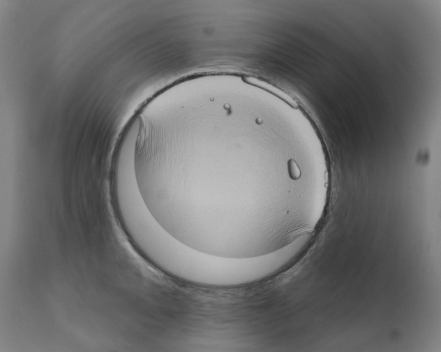 X0000112381093200909241208