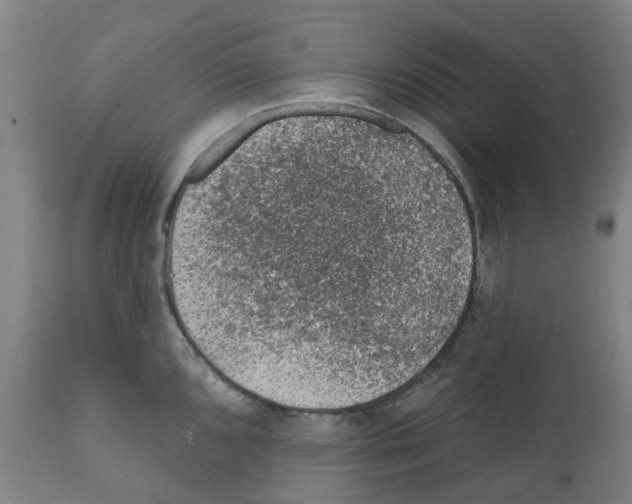 X0000112381096200909241208