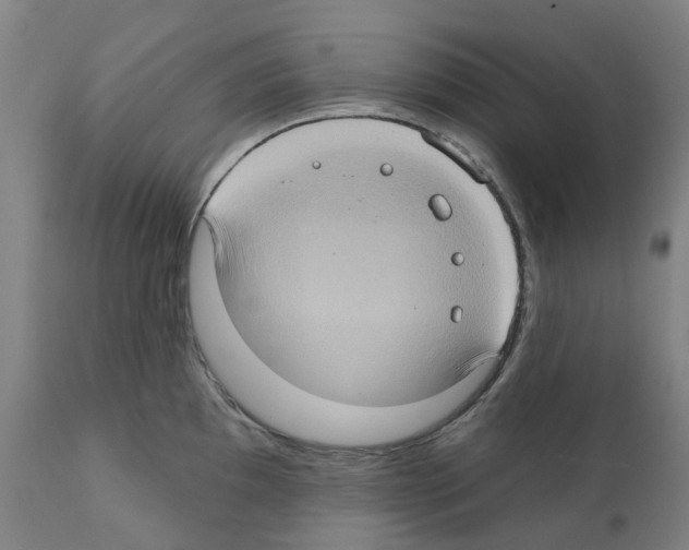 X0000112381097200909241208